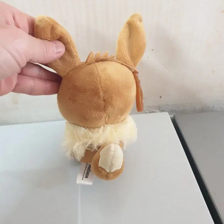 [BUNJANG] Pokemon Pikachu & Eevee Plush Keychain (16cm) / 피카츄 포켓몬 이브이 인형 키링 16센치