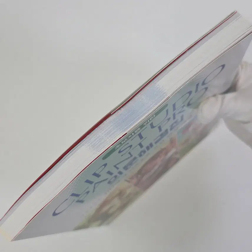 [BUNJANG] Clip Studio Paint Pro Troubleshooting Guide / 클립스튜디오 페인트 프로 의문해결집