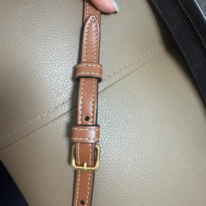 [BUNJANG] Celine Croc Bag / 셀린느 크로크백 2023