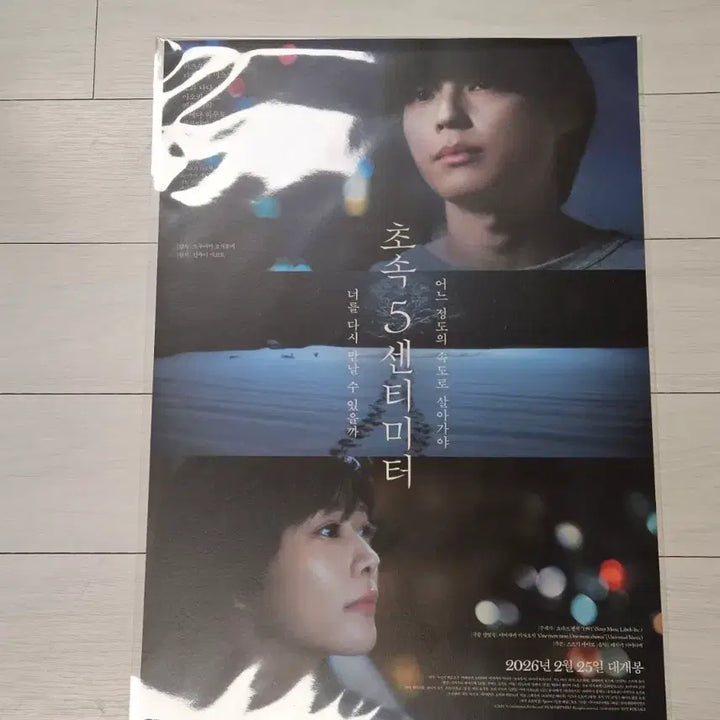 [BUNJANG] 5 Centimeters Per Second Poster / 초속5센티미터 포스터