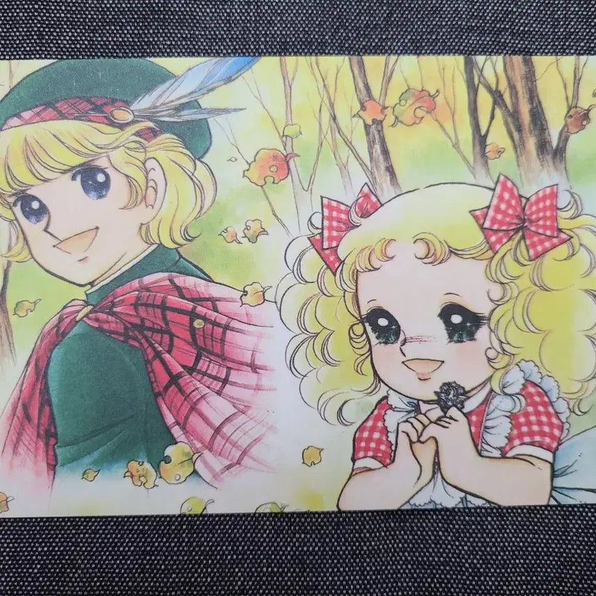 [BUNJANG] Candy Candy Postcard Bundle Set / 일괄) 들장미소녀 캔디 엽서 캔디캔디 만화