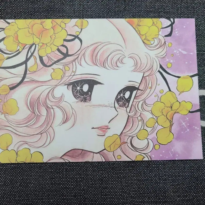 [BUNJANG] Candy Candy Postcard Bundle Set / 일괄) 들장미소녀 캔디 엽서 캔디캔디 만화