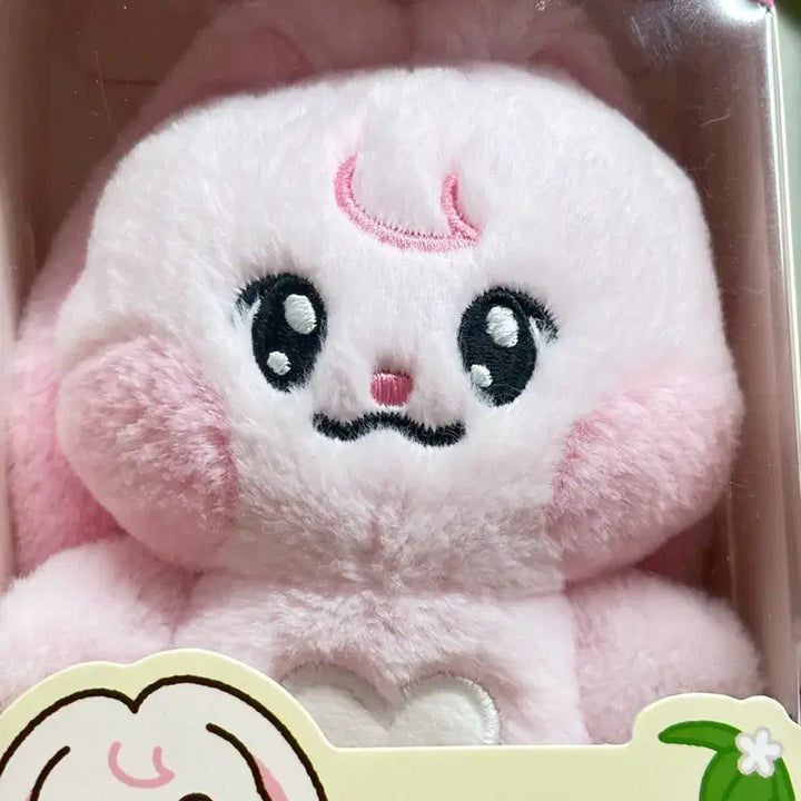 [BUNJANG] Dreamies Kyu-ping Photocard / 드리미즈 뀨핑 양도 택포