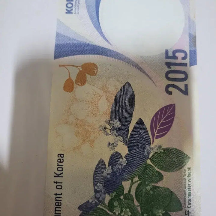 [BUNJANG] Korea Minting Corporation Eagle Owl Test Note / 2015년 한국조폐공사  수리부엉이 테스트노트