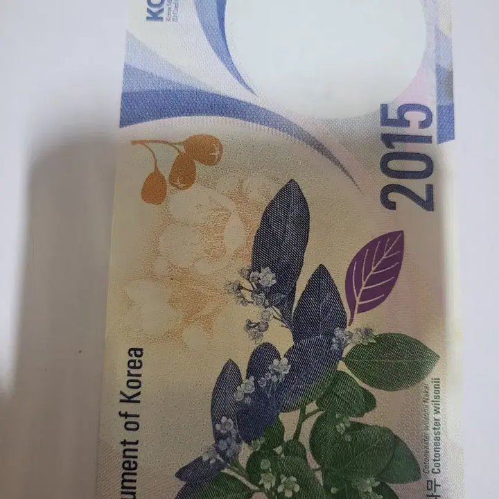 [BUNJANG] Korea Minting Corporation Eagle Owl Test Note / 2015년 한국조폐공사  수리부엉이 테스트노트