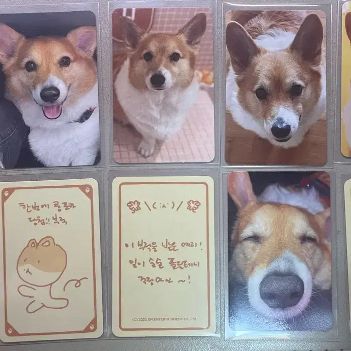 [BUNJANG] Transaction Completed / 거래완료