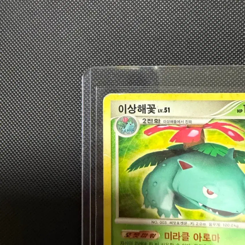 [BUNJANG] Pokemon Venusaur 03/40 2011 Ancient Card / 포켓몬 카드 DP 이상해꽃 03/40 2011 고대 고전 카드