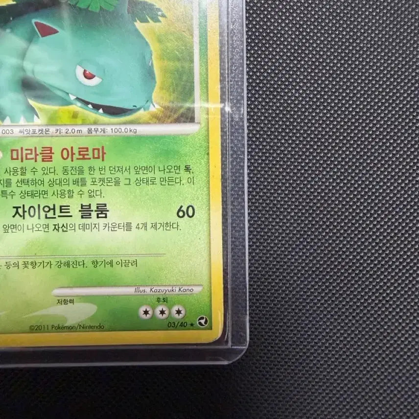 [BUNJANG] Pokemon Venusaur 03/40 2011 Ancient Card / 포켓몬 카드 DP 이상해꽃 03/40 2011 고대 고전 카드