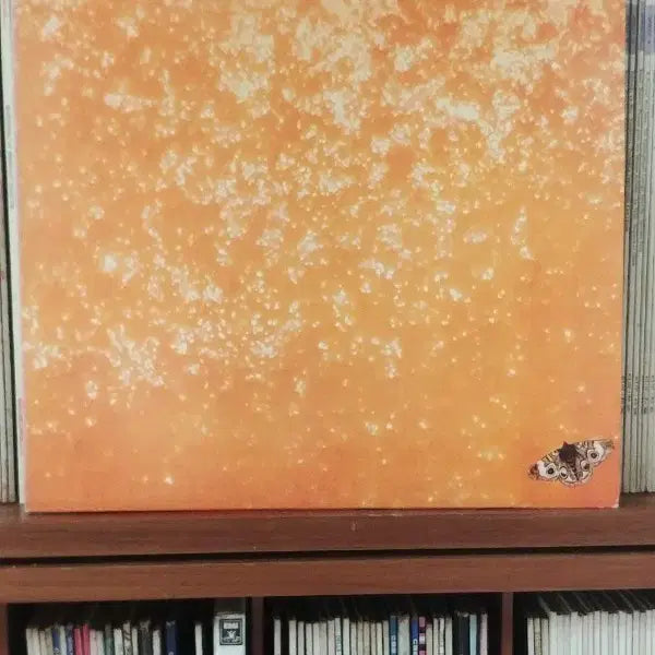 [BUNJANG] Michael Franks Sleeping Gypsy LP Vinyl Record / 마이클프랭스 Sleeping Gypsy LP 음반