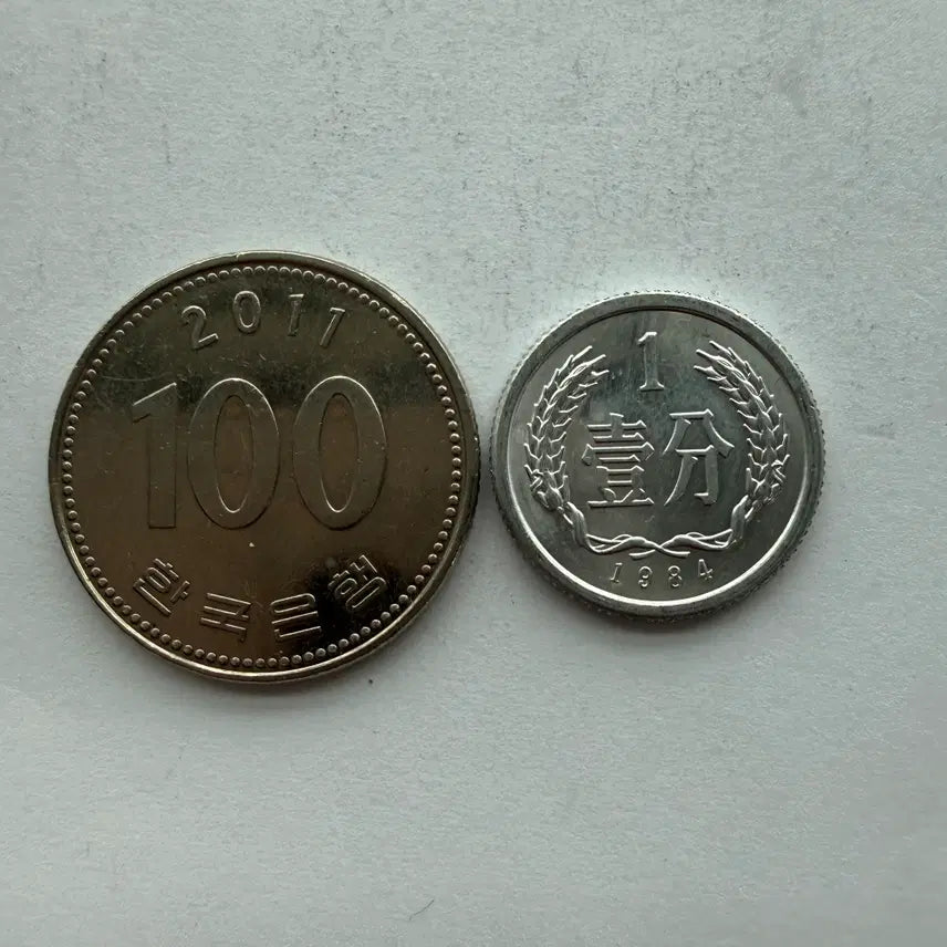 [BUNJANG] Chinese 1-Fen Coin (1984) / 1984년 중국 1분 동전 S486