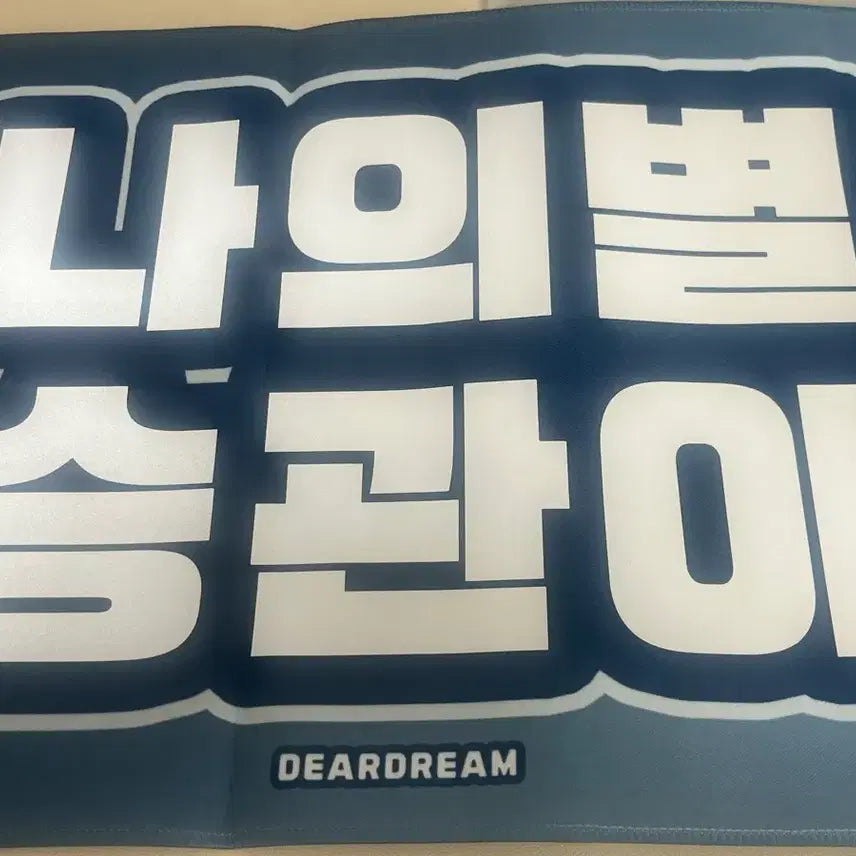 [BUNJANG] Seventeen Seungkwan Fabric Slogan / 세븐틴 승관 슬로건 양도 비공굿 부승관 천 슬로건