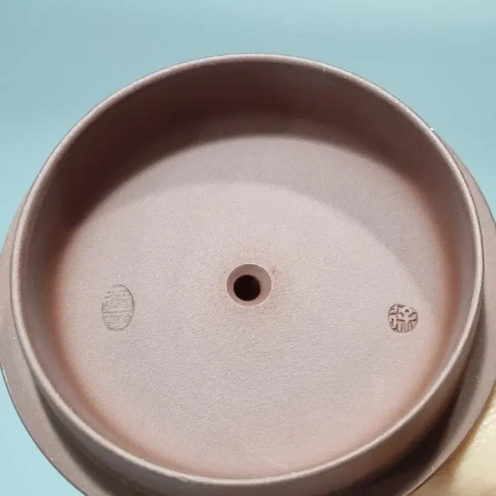 [BUNJANG] Yixing Zisha Teapot with Certificate - Dragon and Phoenix / 이싱자사호 증서포함-용봉. 가로13고5.5