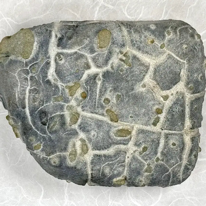 [BUNJANG] Pohang Natural Stone / 포항 혹돌 수석 자연석