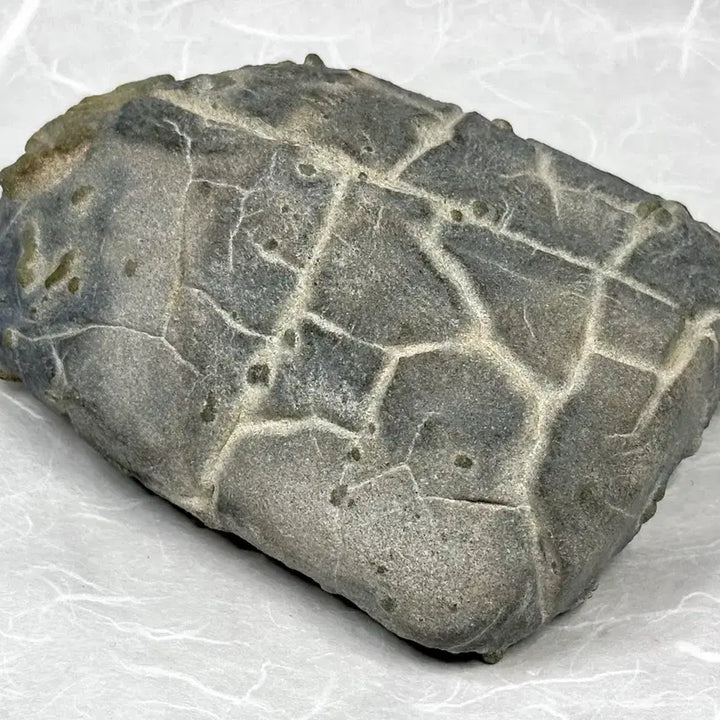 [BUNJANG] Pohang Natural Stone / 포항 혹돌 수석 자연석