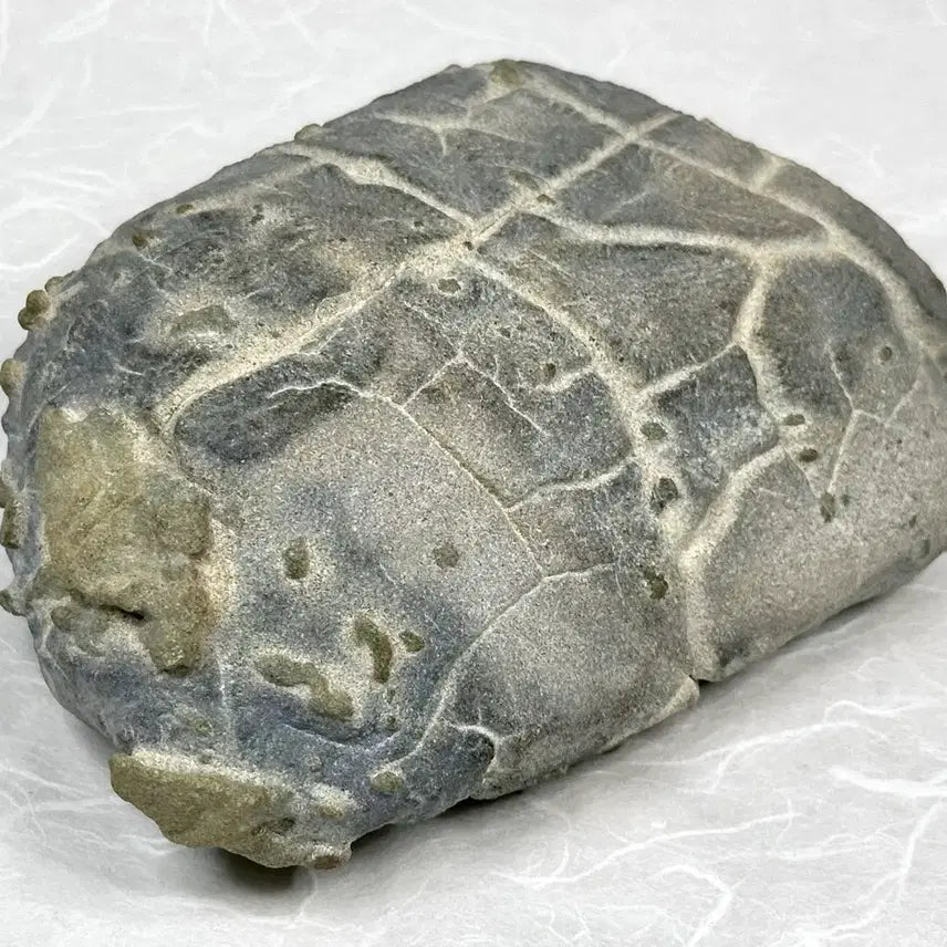 [BUNJANG] Pohang Natural Stone / 포항 혹돌 수석 자연석