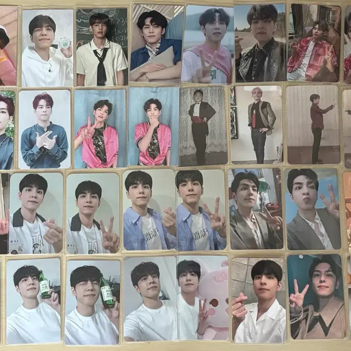 [BUNJANG] Day6 Wonpil Bundle Set Photocard / 데이식스 원필포카(일괄)