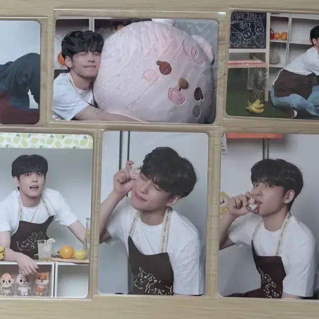 [BUNJANG] Day6 Wonpil Bundle Set Photocard / 데이식스 원필포카(일괄)