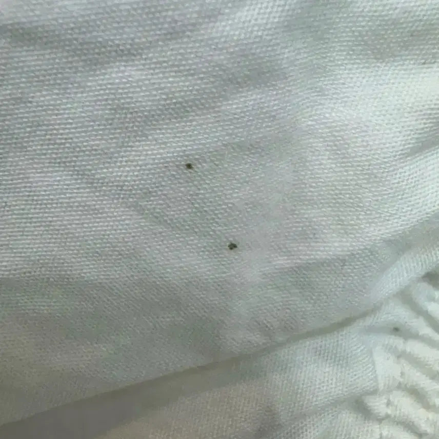 [BUNJANG] Yeori Fit White Puff Blouse / 여리핏 화이트 퍼프 블라우스 9R/55-66 추천/체형커버