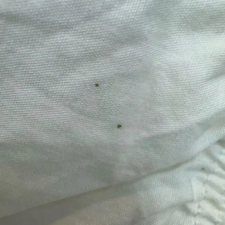 [BUNJANG] Yeori Fit White Puff Blouse / 여리핏 화이트 퍼프 블라우스 9R/55-66 추천/체형커버