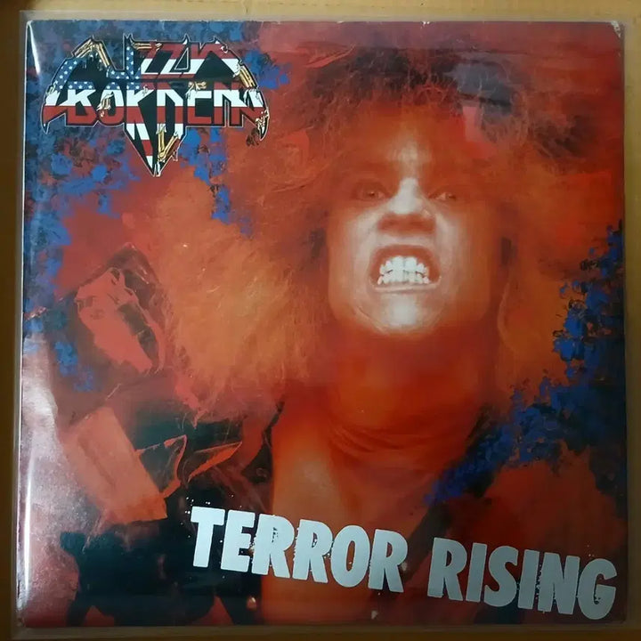 [BUNJANG] Lizzy Borden LP Vinyl Record Bundle Set / (영상2가지) 헤비메탈밴드 리지보든 LP 3장