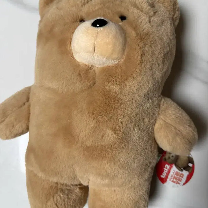 [BUNJANG] TED TED2 Brown Plush Bear Doll / 테드 TED2 곰인형 갈색 봉제인형