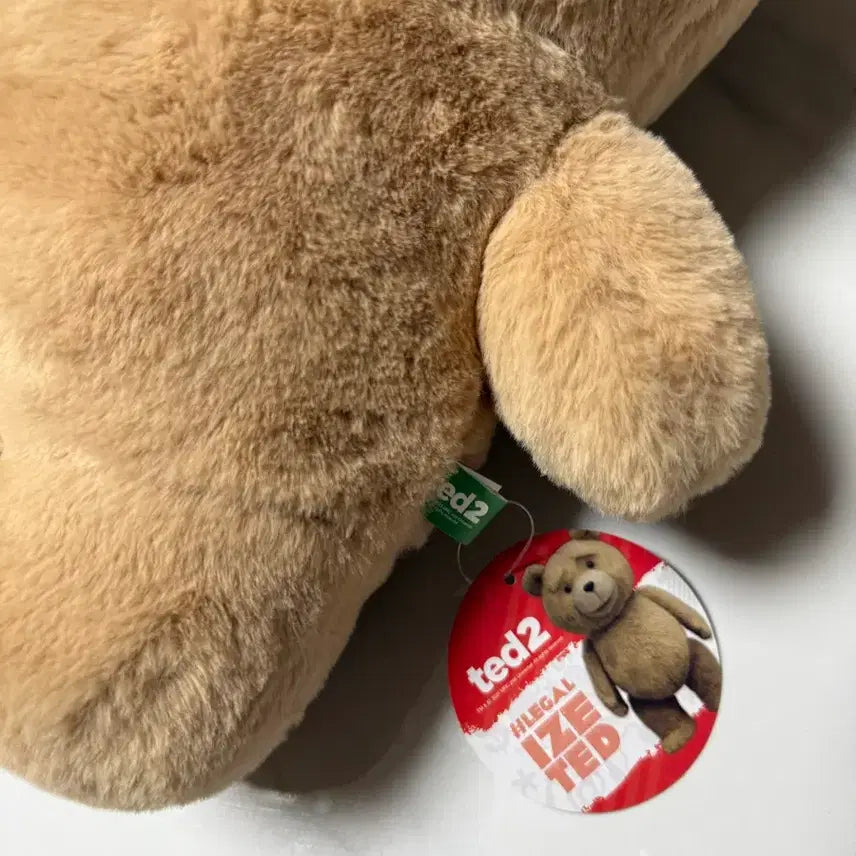 [BUNJANG] TED TED2 Brown Plush Bear Doll / 테드 TED2 곰인형 갈색 봉제인형