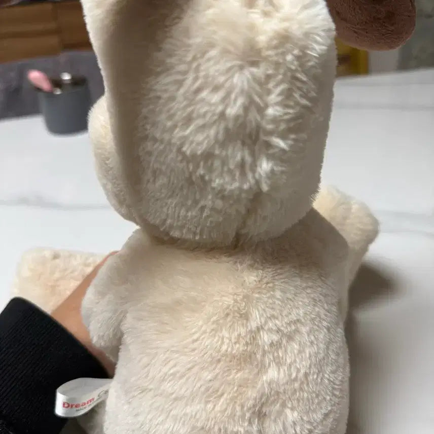 [BUNJANG] Wallace & Gromit Gromit Plush Doll / 윌리스와 그로밋 그로밋인형