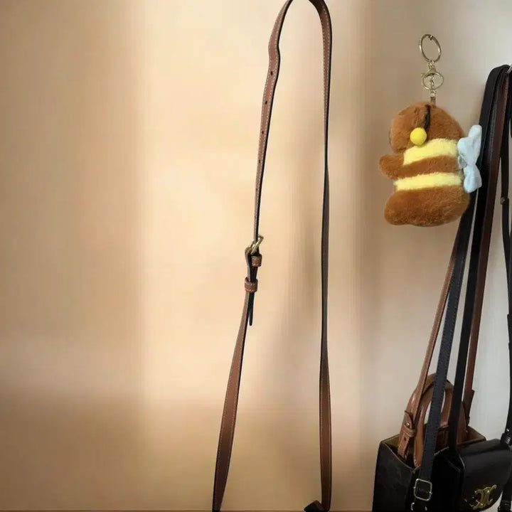 [BUNJANG] Celine Mini Besace Bag / 셀린느 정품 미니 베사체 가방 풀박스 판매합니다