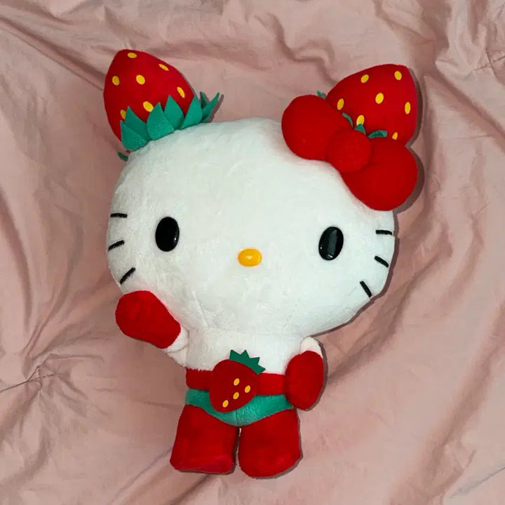 [BUNJANG] Sanrio Ichigoman Kitty / 고전 산리오 이치고맨 키티