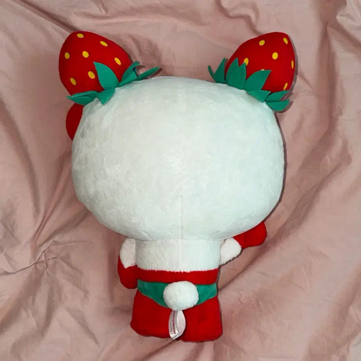 [BUNJANG] Sanrio Ichigoman Kitty / 고전 산리오 이치고맨 키티