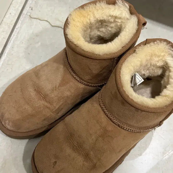[BUNJANG] UGG Classic Mini Boots / 어그 클래식 미니