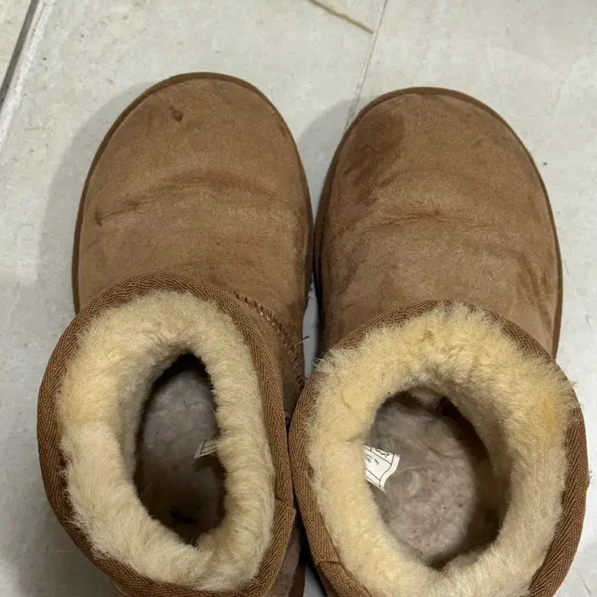 [BUNJANG] UGG Classic Mini Boots / 어그 클래식 미니