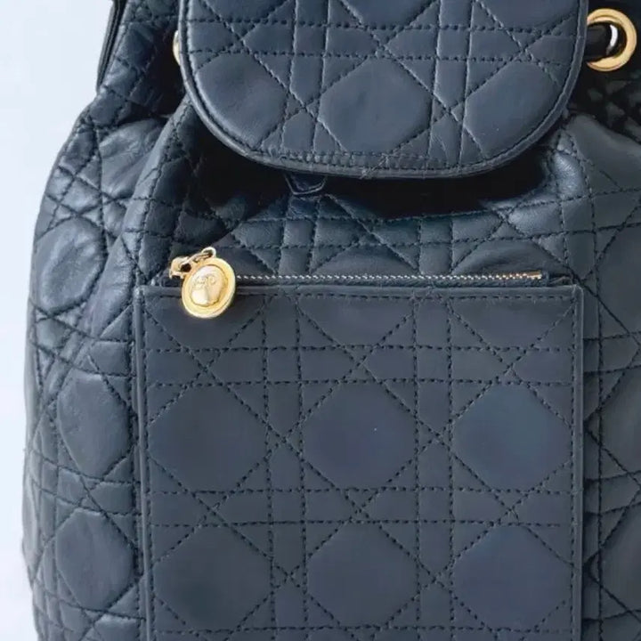 [BUNJANG] Dior Backpack / 정품 디올 백팩