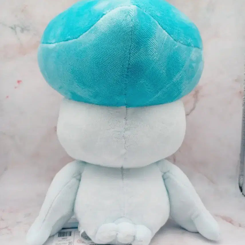 [BUNJANG] Pokemon Quaxly Plush Doll / 이염할인) 포켓몬 꾸왁스 봉제인형(25)
