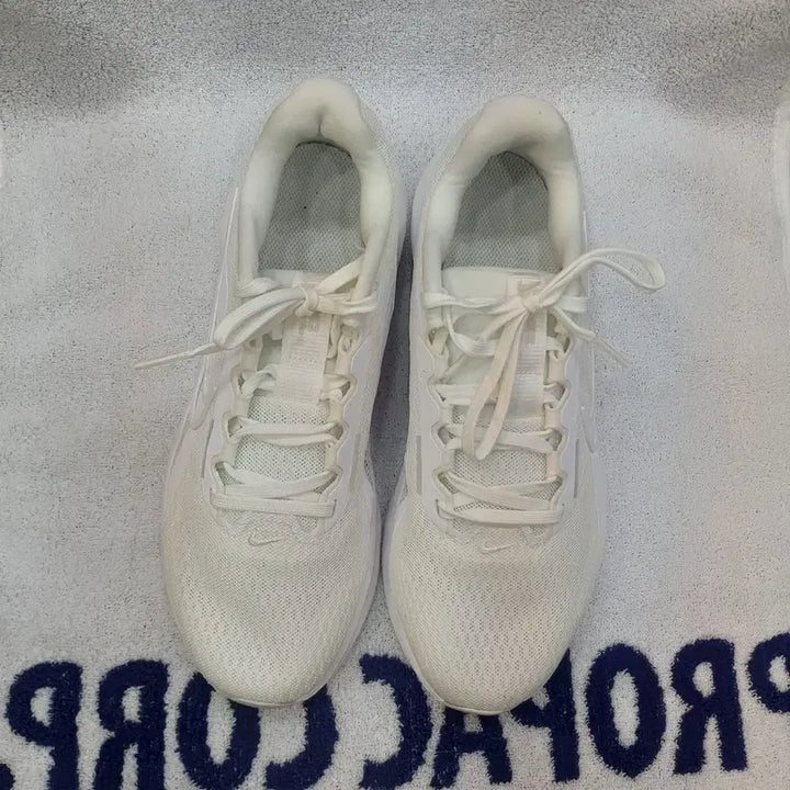 [SOLD OUT] 나이키 다운쉬프터 240mm