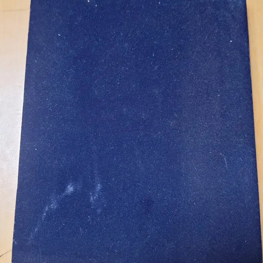 [BUNJANG] Special Silver Medal / 은으로된 훈장