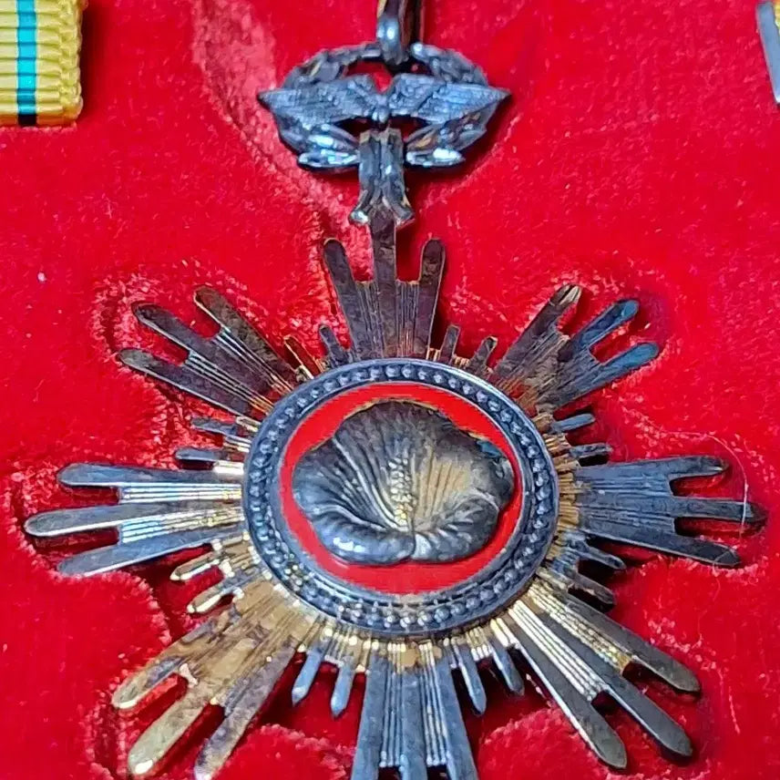 [BUNJANG] Special Silver Medal / 은으로된 훈장