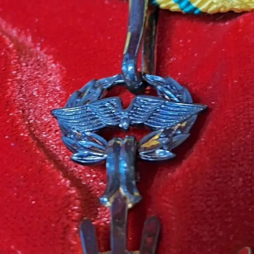 [BUNJANG] Special Silver Medal / 은으로된 훈장