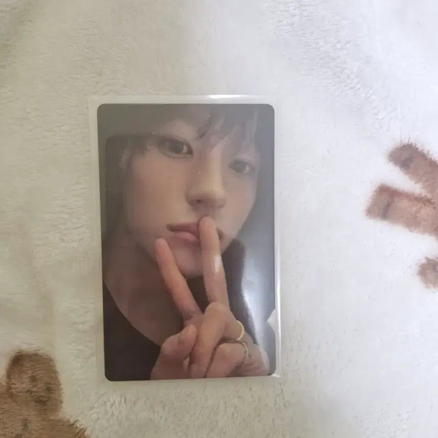 [BUNJANG] RIIZE Anton Odyssey Weverse POB / 라이즈 앤톤 오디세이 위버스 예판 특전