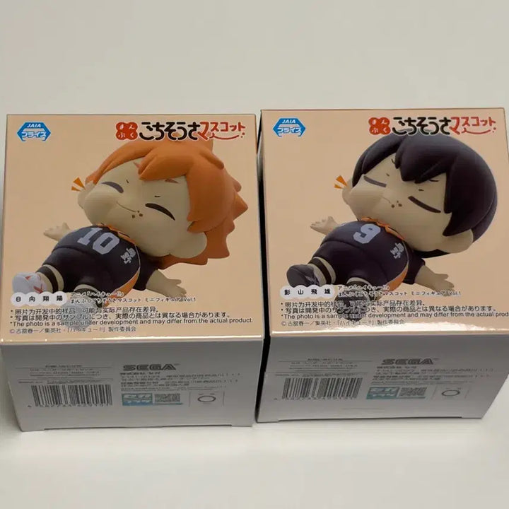 [BUNJANG] Haikyu Manpuku Hinata Kageyama Bundle Set / 하이큐 만푸쿠 잘먹었습니다 히나타 카게야마