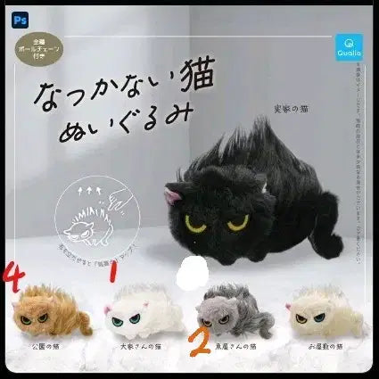 [BUNJANG] Untamed Cat Plush Keyring / 길들여지지 않는 고양이 인형 키링 판매합니다
