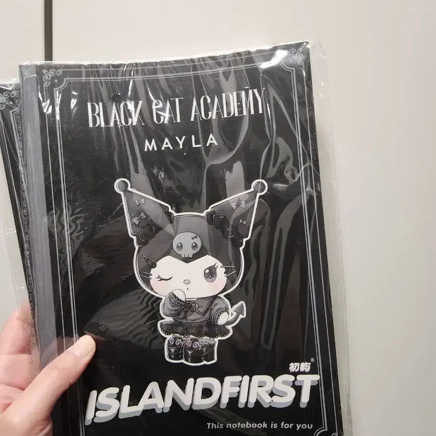 [BUNJANG] Sanrio Black Notebook / 블랙 산리오 노트