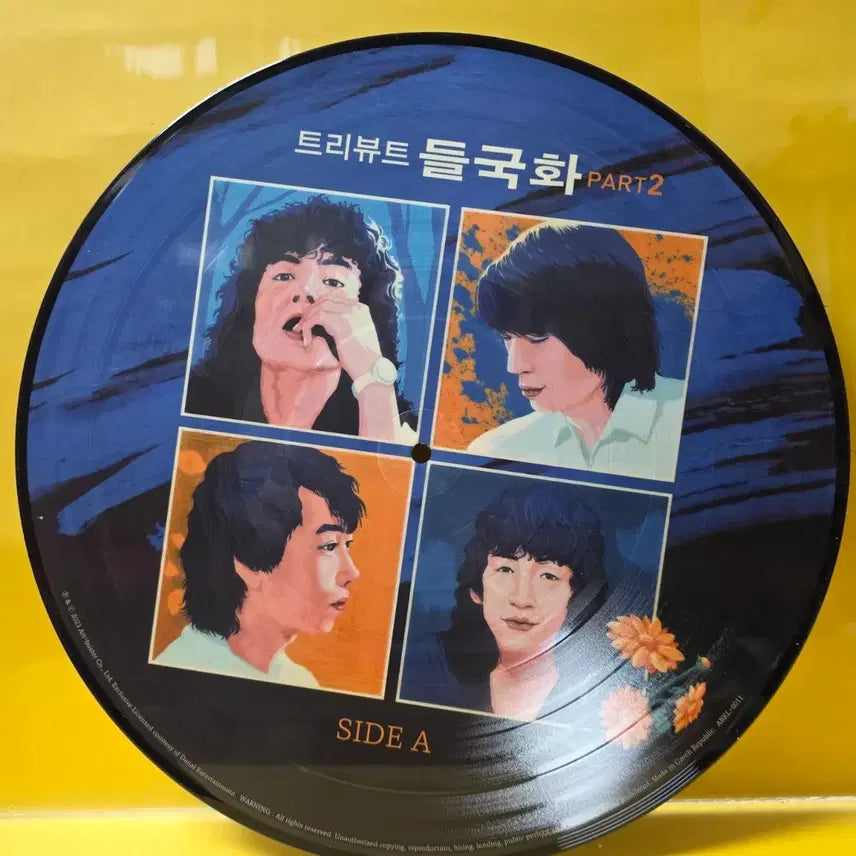 [BUNJANG] Tribute Deulgukhwa Part.2 Picture Disc LP / 트리뷰트  들국화  part.2 픽쳐 디스크  미사용반 LP