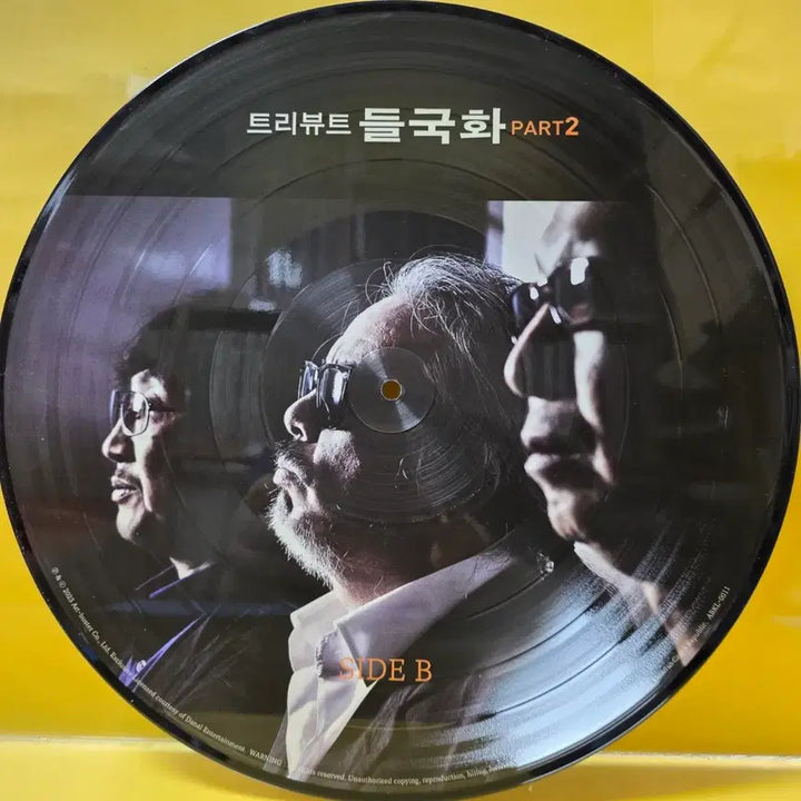 [BUNJANG] Tribute Deulgukhwa Part.2 Picture Disc LP / 트리뷰트  들국화  part.2 픽쳐 디스크  미사용반 LP