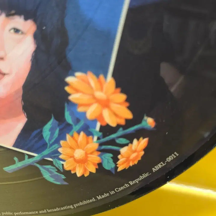 [BUNJANG] Tribute Deulgukhwa Part.2 Picture Disc LP / 트리뷰트  들국화  part.2 픽쳐 디스크  미사용반 LP