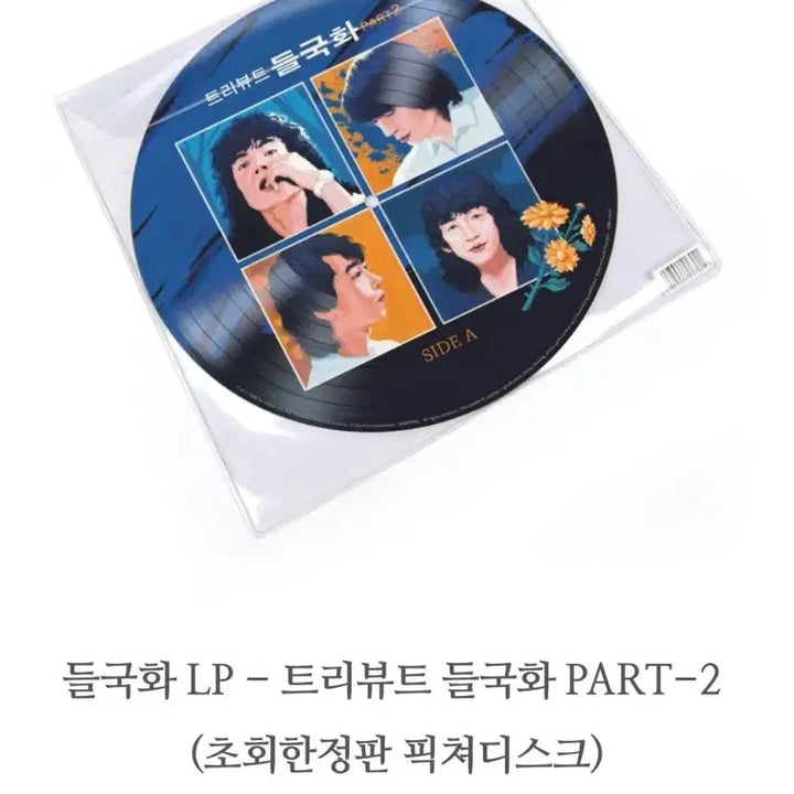 [BUNJANG] Tribute Deulgukhwa Part.2 Picture Disc LP / 트리뷰트  들국화  part.2 픽쳐 디스크  미사용반 LP