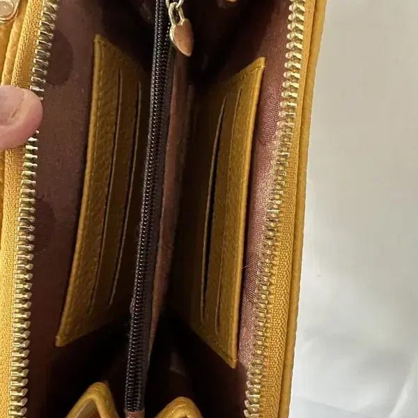 [BUNJANG] CARR REN Leather Cross Mini Bag / [OS] CARR REN 레더 크로스 지갑미니백