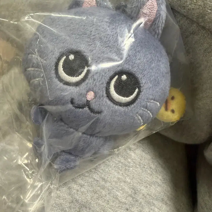 [BUNJANG] RIIZE Wonbin 8cm Tonyangduck Doll / 라이즈 대두 토냥덕 보스라이즈 8cm 토냥덕 원빈