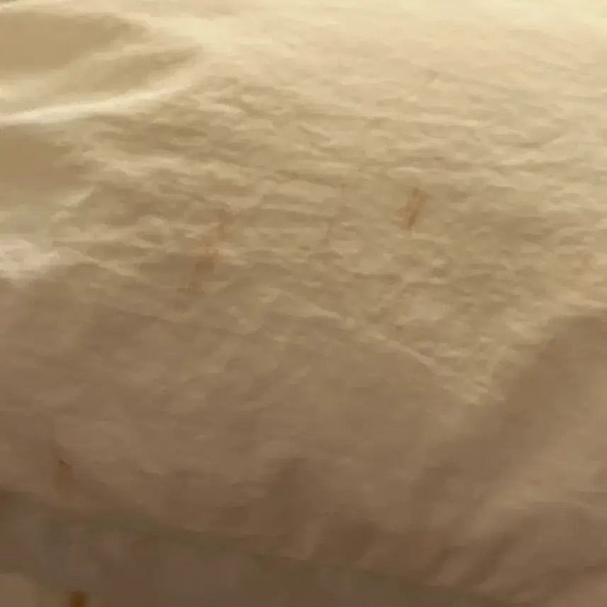 [BUNJANG] Partimento Women's Reversible Padded Jacket / 파르티멘토 우먼 리버시블 패딩