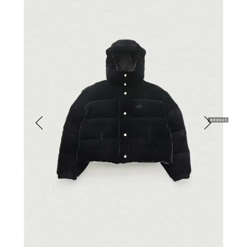 [BUNJANG] The Barnet Velvet Padded Jacket / 더바넷 벨벳패딩